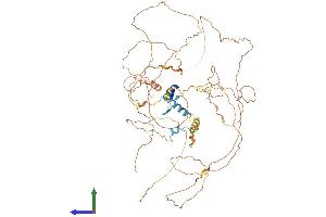 AlphaFold protein structure predicition of Human Recombinant ZNF503 Protein, UniprotID Q96F45