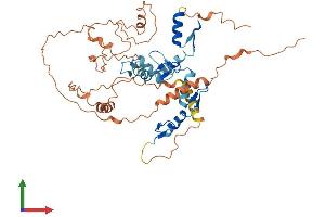 AlphaFold protein structure predicition of Human Recombinant FEZF2 Protein, UniprotID Q8TBJ5