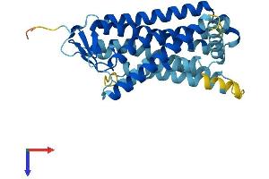 AlphaFold protein structure predicition of Human Recombinant OR4L1 Protein, UniprotID Q8NH43 (OR4L1 Protein (AA 1-312) (His tag))
