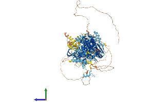 Protein Structure (PS) image for Patatin-Like phospholipase Domain Containing 6 (PNPLA6) (AA 1-1355) protein (His tag) (ABIN7563676)