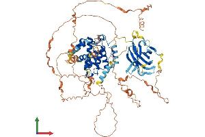 AlphaFold protein structure predicition of Human Recombinant SYDE1 Protein, UniprotID Q6ZW31 (SYDE1 Protein (AA 1-735) (His tag))