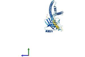 AlphaFold protein structure predicition of Mouse Recombinant Psmd7 Protein, UniprotID P26516