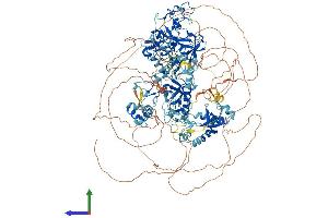 Protein Structure (PS) image for Wolf-Hirschhorn Syndrome Candidate 1 (WHSC1) (AA 1-1365) protein (His tag) (ABIN7554765)