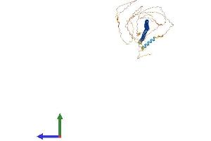 AlphaFold protein structure predicition of Mouse Recombinant Poc5 Protein, UniprotID Q9DBS8