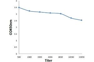 Antigen: 0. (RAB35 antibody  (AA 131-201))