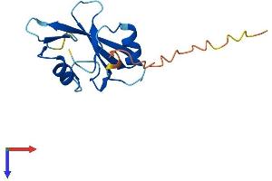 AlphaFold protein structure predicition of Mouse Recombinant Sh2d1b Protein, UniprotID O35324 (SH2D1B Protein (AA 1-132) (His tag))