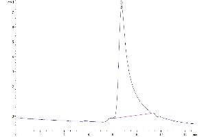 The purity of Human M-CSF is greater than 95 % as determined by SEC-HPLC. (M-CSF/CSF1 Protein (AA 33-190))