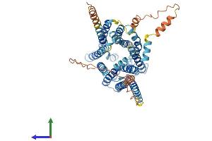 AlphaFold protein structure predicition of Mouse Recombinant Slc19a1 Protein, UniprotID P41438