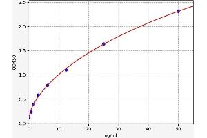 Typical standard curve (STAT5B ELISA Kit)