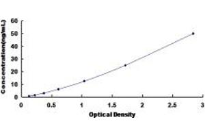 Typical standard curve (DPYS ELISA Kit)