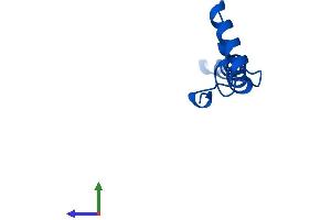 Protein Structure (PS) image for NADH Dehydrogenase (Ubiquinone) 1 alpha Subcomplex, 1, 7.5kDa (NDUFA1) (AA 1-70) protein (Fc Tag) (ABIN7562361)