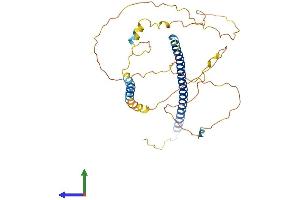 AlphaFold protein structure predicition of Human Recombinant JUND Protein, UniprotID P17535