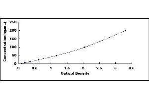 Typical standard curve (CELA2A ELISA Kit)