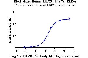 Immobilized Biotinylated Human LILRB1, His Tag at 1 μg/mL (100 μL/Well) on the plate.
