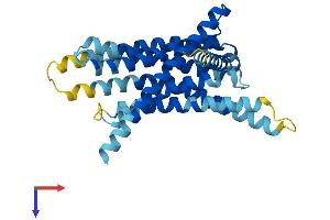 AlphaFold protein structure predicition of Mouse Recombinant Tas2r103 Protein, UniprotID Q9JKA3 (TAS2R103 Protein (AA 1-312) (His tag))