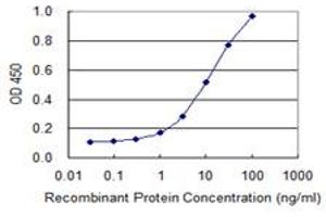 Detection limit for recombinant GST tagged EGLN2 is 0. (PHD1 antibody  (AA 1-407))