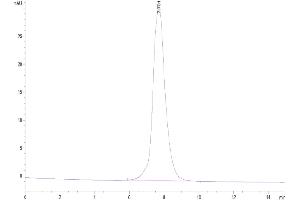 Size-exclusion chromatography-High Pressure Liquid Chromatography (SEC-HPLC) image for Interleukin 2 Receptor, beta (IL2RB) (AA 27-239) protein (Fc Tag) (ABIN7274069)