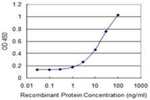 Detection limit for recombinant GST tagged DAPP1 is 0. (DAPP1 antibody  (AA 1-280))