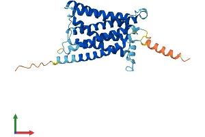 AlphaFold protein structure predicition of Mouse Recombinant Mrgpre Protein, UniprotID Q91ZB7 (MRGPRE Protein (AA 1-310) (His tag))