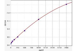 Chemokine (C-C Motif) Ligand 17 (CCL17) ELISA Kit