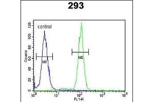 OST alpha Antibody (C-term) (ABIN653795 and ABIN2843077) flow cytometric analysis of 293 cells (right histogram) compared to a negative control cell (left histogram). (OST alpha antibody  (C-Term))
