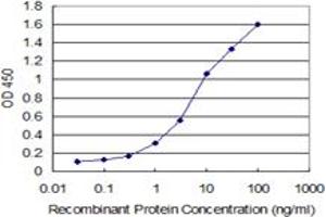 Detection limit for recombinant GST tagged HMGB2 is 0. (HMGB2 antibody  (AA 1-195))