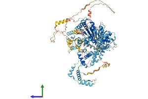 AlphaFold protein structure predicition of Mouse Recombinant Smarca1 Protein, UniprotID Q6PGB8 (SMARCA1 Protein (AA 1-1046) (His tag))