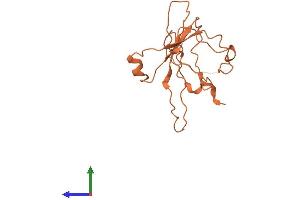 AlphaFold protein structure predicition of Human Recombinant C2orf48 Protein, UniprotID Q96LS8 (C2ORF48 Protein (AA 1-159) (His tag))