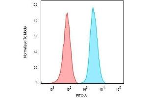 Flow Cytometric Analysis of Raji cells. (Recombinant CD74 antibody)