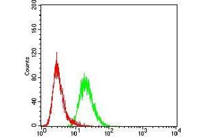 Flow cytometric analysis of HeLa cells using FBXL10 mouse mAb (green) and negative control (red). (KDM2B antibody  (AA 457-555))
