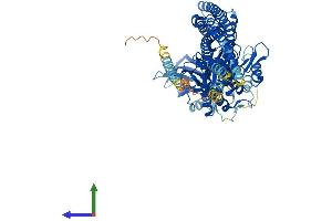 AlphaFold protein structure predicition of Human Recombinant TBK1 Protein, UniprotID Q9UHD2 (TBK1 Protein (AA 1-729) (His tag))