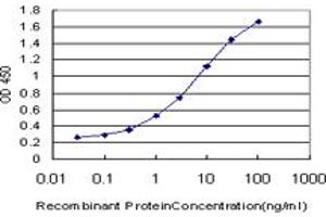 Detection limit for recombinant GST tagged AKAP4 is approximately 0. (AKAP4 antibody  (AA 1-100))