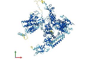 AlphaFold protein structure predicition of Human Recombinant POLR3A Protein, UniprotID O14802