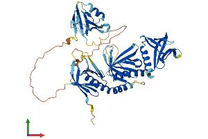 AlphaFold protein structure predicition of Human Recombinant SNTA1 Protein, UniprotID Q13424