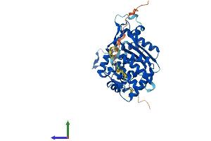 AlphaFold protein structure predicition of Mouse Recombinant Tent5c Protein, UniprotID Q5SSF7 (FAM46C Protein (AA 1-391) (His tag))