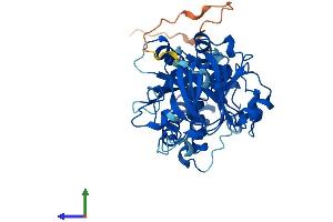 AlphaFold protein structure predicition of Mouse Recombinant Kdm8 Protein, UniprotID Q9CXT6