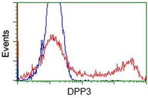 HEK293T cells transfected with either RC219658 overexpress plasmid (Red) or empty vector control plasmid (Blue) were immunostained by anti-DPP3 antibody (ABIN2454857), and then analyzed by flow cytometry. (DPP3 antibody)