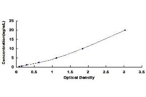 Typical standard curve (VCP ELISA Kit)