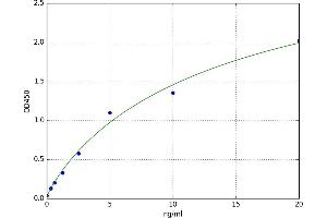Glycine N-Methyltransferase (GNMT) ELISA Kit