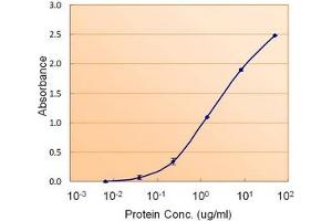 Image no. 1 for anti-Calnexin (CANX) (Internal Region) antibody (ABIN401659) (Calnexin antibody  (Internal Region))