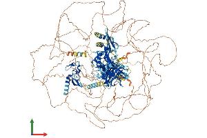 AlphaFold protein structure predicition of Human Recombinant ZFYVE16 Protein, UniprotID Q7Z3T8