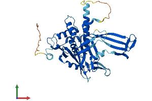 Protein Structure (PS) image for Ubiquitin Specific Peptidase 12 (USP12) (AA 1-370) protein (His tag) (ABIN7545017)