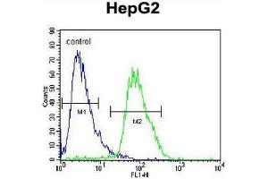 CACNA2D3 Antibody (C-term) flow cytometric analysis of HepG2 cells (right histogram) compared to a negative control cell (left histogram). (CACNA2D3 antibody  (C-Term))