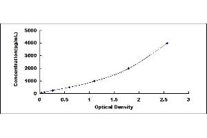 Cathepsin S ELISA Kit