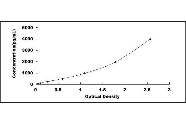 Cathepsin S ELISA Kit