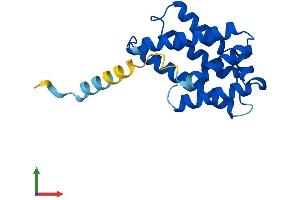 Protein Structure (PS) image for Tumor Necrosis Factor, alpha-Induced Protein 8-Like 2 (TNFAIP8L2) (AA 1-184) protein (His tag) (ABIN7544503)