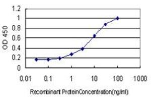 Detection limit for recombinant GST tagged ZNF202 is approximately 0. (ZNF202 antibody  (AA 301-400))