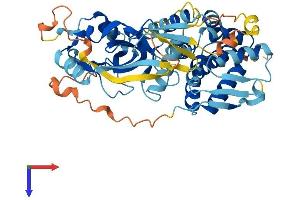 AlphaFold protein structure predicition of Mouse Recombinant Gsdma3 Protein, UniprotID Q5Y4Y6 (Gasdermin A3 Protein (GSDMA3) (AA 1-464) (His tag))
