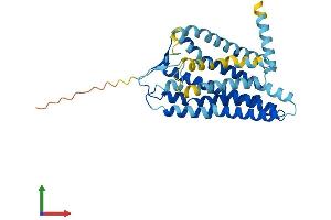 AlphaFold protein structure predicition of Human Recombinant OR56B1 Protein, UniprotID Q8NGI3 (OR56B1 Protein (AA 1-324) (His tag))