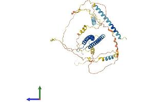 AlphaFold protein structure predicition of Human Recombinant TFEB Protein, UniprotID P19484 (TFEB Protein (AA 1-476) (His tag))